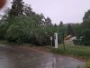 baum1