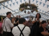 IMG_3804_09-21-2015