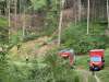 wald1