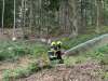 wald2