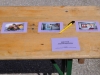 Bild3