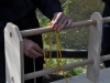 Bild6